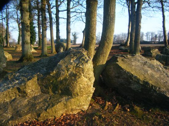 site mégalithique  de Pleslin en Bretagne