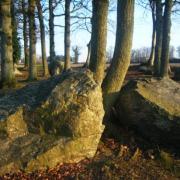 site mégalithique  de Pleslin en Bretagne