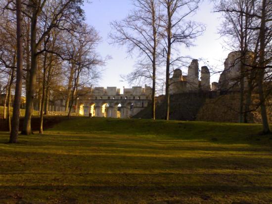 Ruines du chateau de Fère en tardenois 02