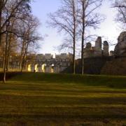 Ruines du chateau de Fère en tardenois 02