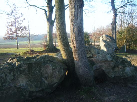 Site mégalithique  de Pleslin en Bretagne