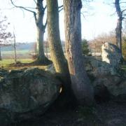 Site mégalithique  de Pleslin en Bretagne