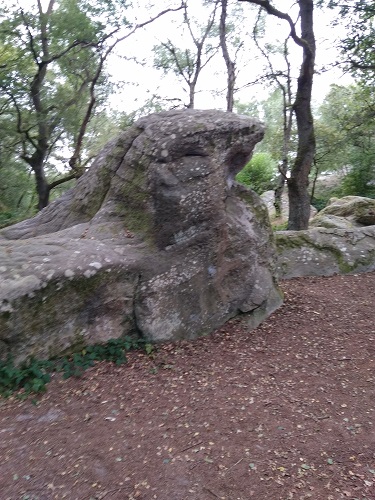 Enorme rocher à  l'apparence d'un animal préhistorique.
